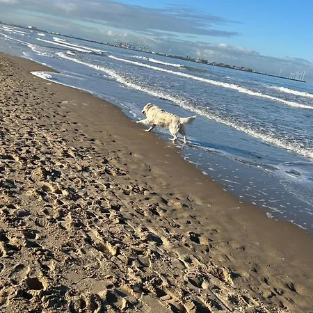 Appartamento Lichttorenplein Met Garage *