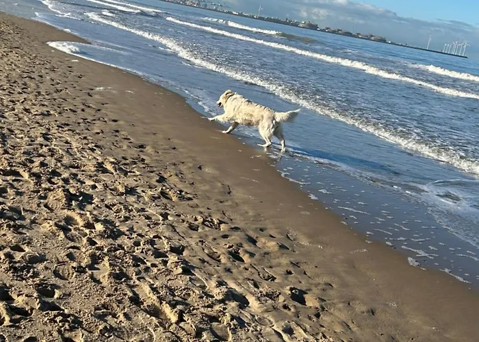 Appartamento Lichttorenplein Met Garage *